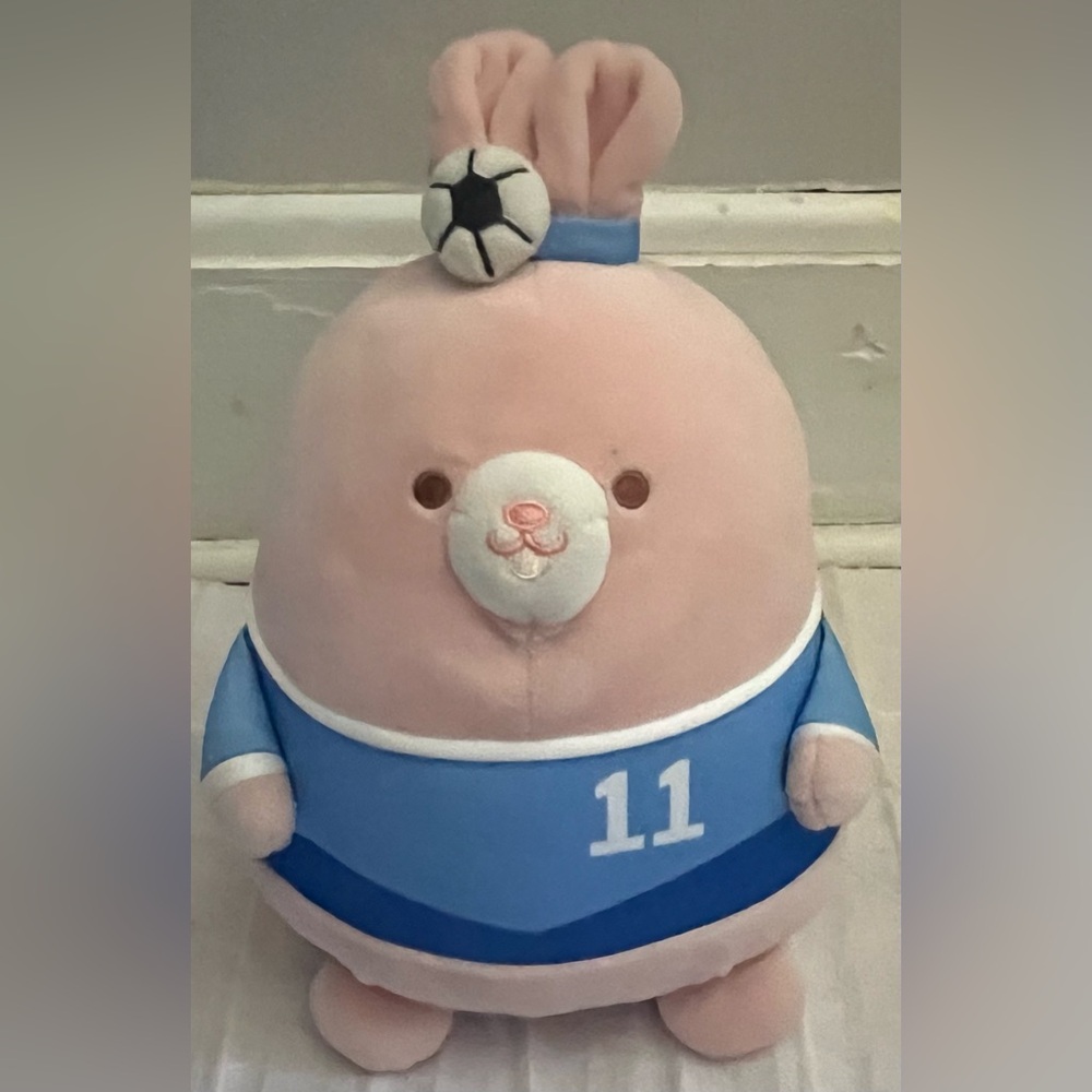 Miniso Soccer Uniform & Ball Stuffed Animal Plush Bunny Toy 10β